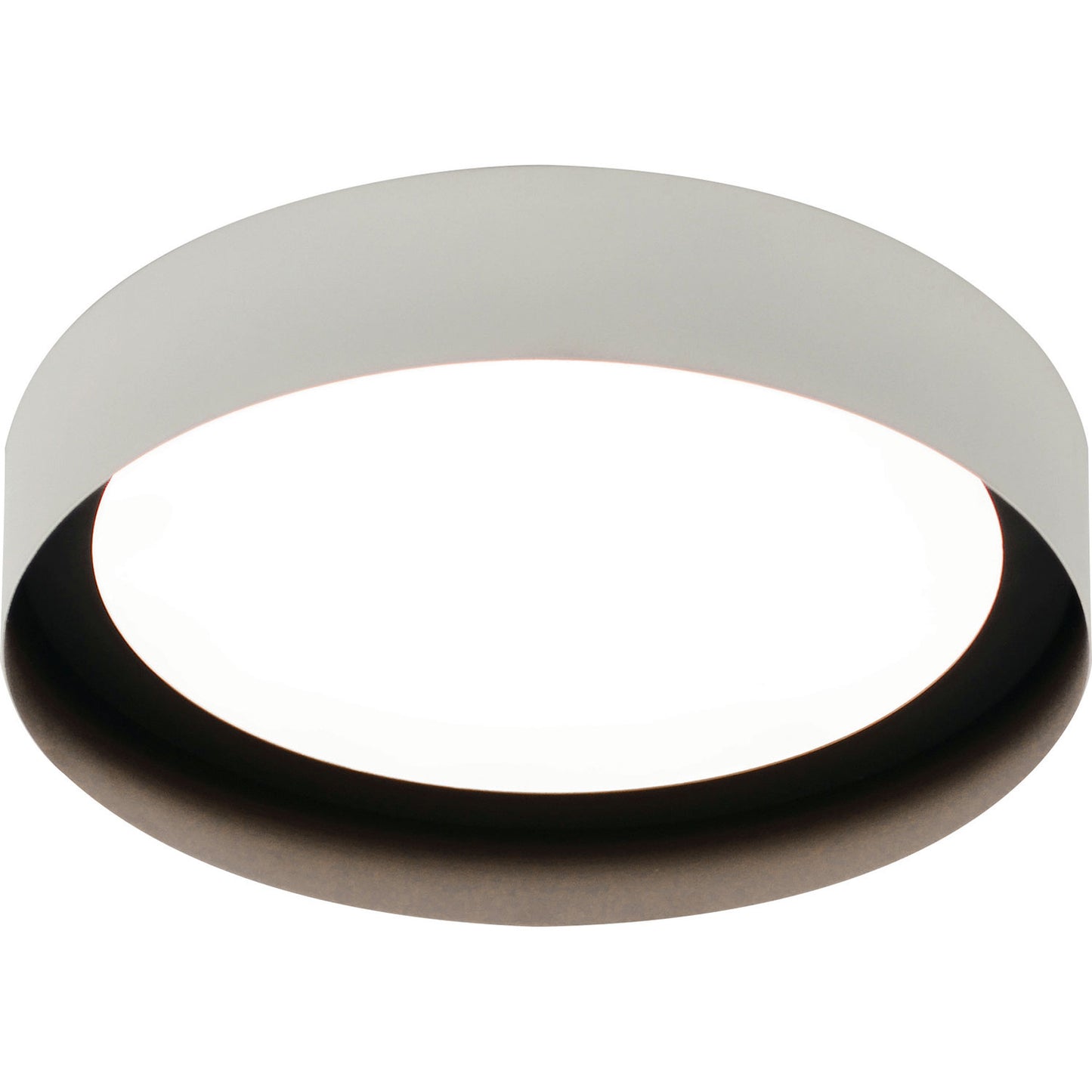 Reveal LED Flush Mount