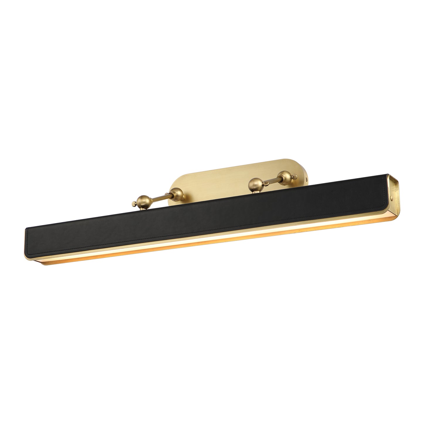 Valise Picture Light