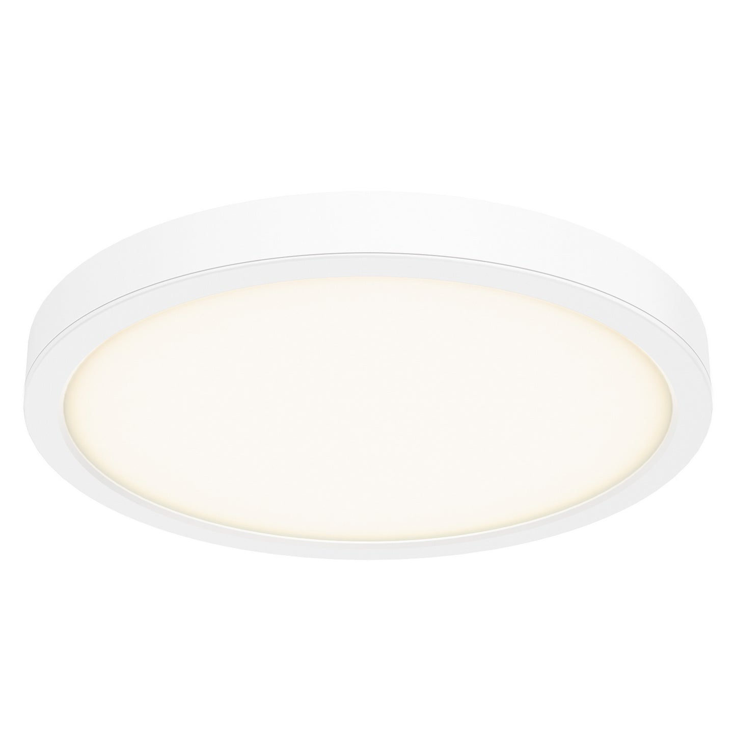 Delta Color Select Round Outdoor Wall / Ceiling Light