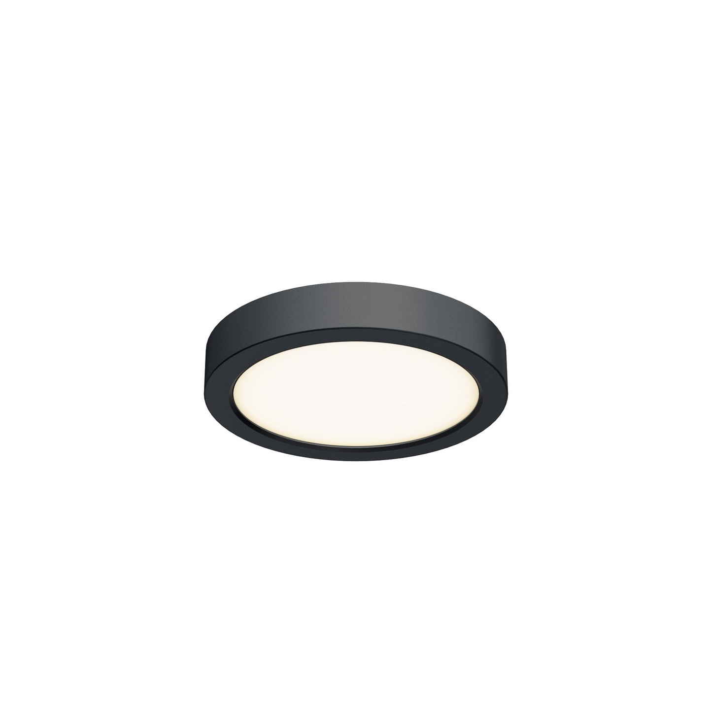 Delta Color Select Round Outdoor Wall / Ceiling Light