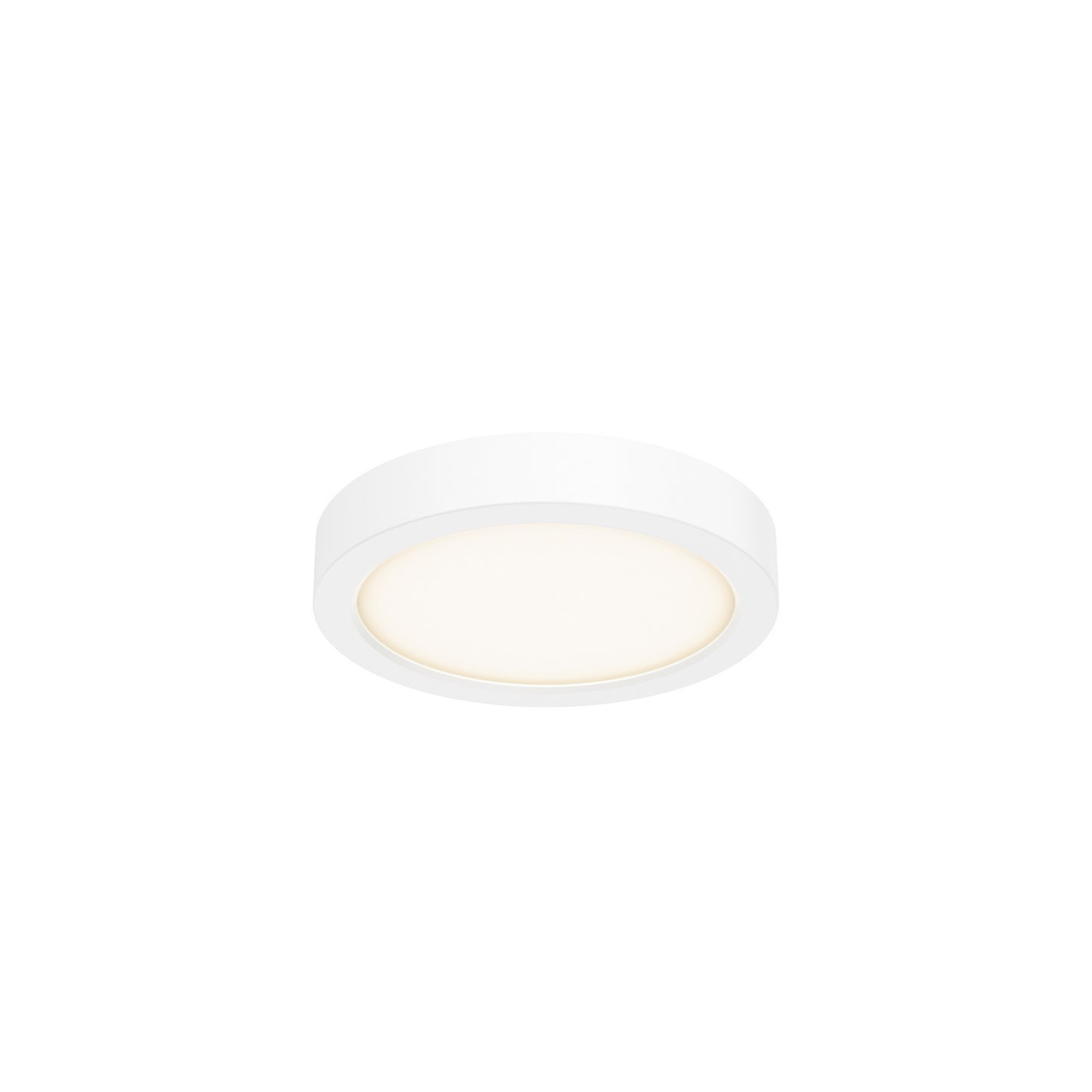 Delta Color Select Round Outdoor Wall / Ceiling Light
