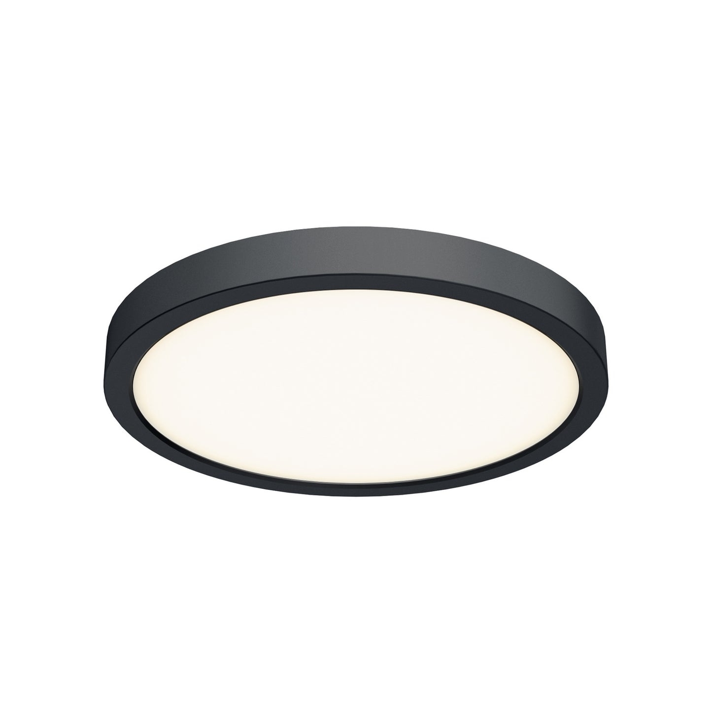 Delta Color Select Round Outdoor Wall / Ceiling Light
