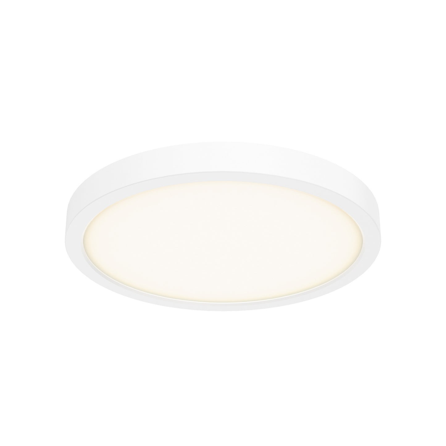 Delta Color Select Round Outdoor Wall / Ceiling Light
