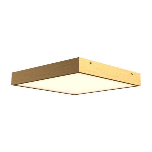 Sydney Wall / Ceiling Light