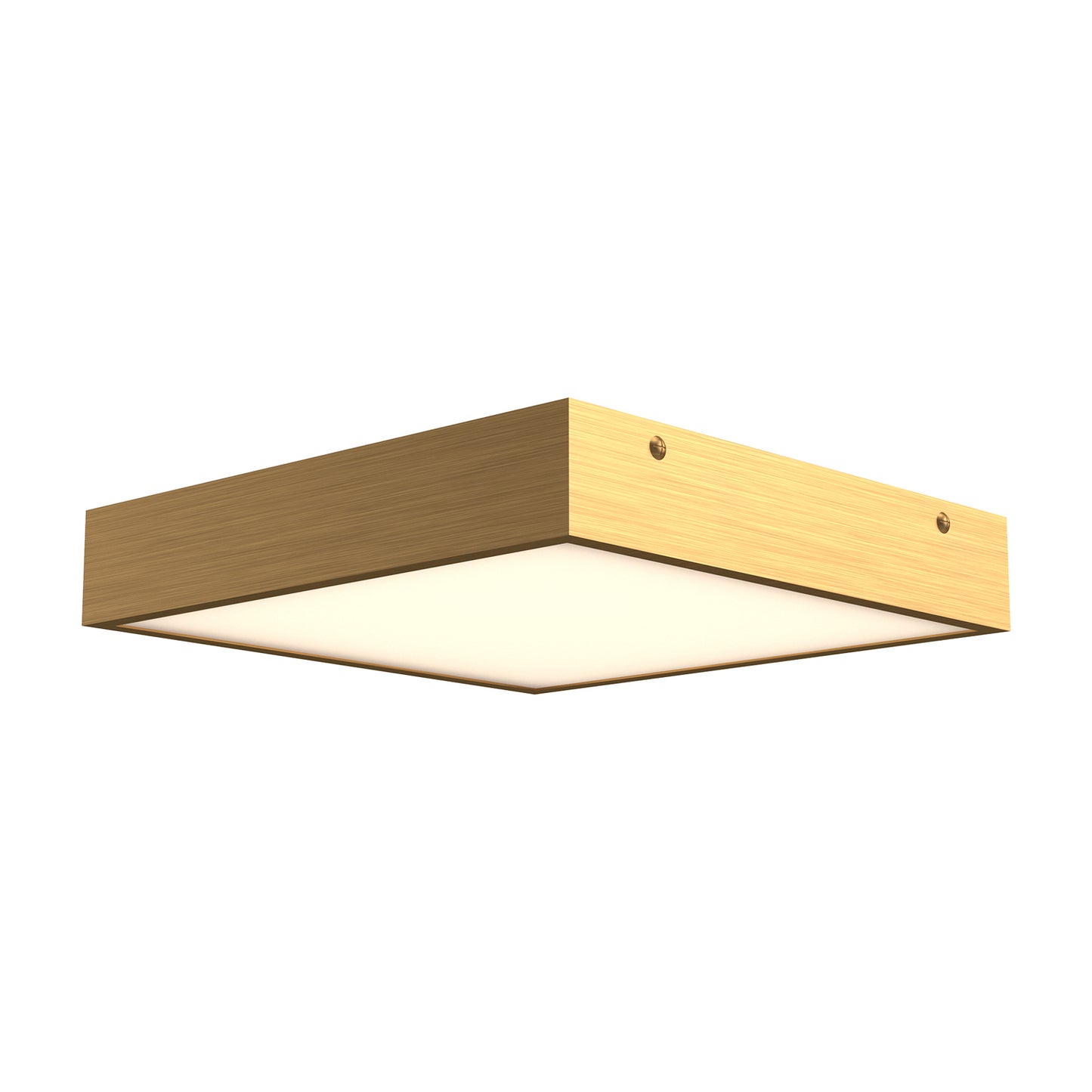 Sydney Wall / Ceiling Light