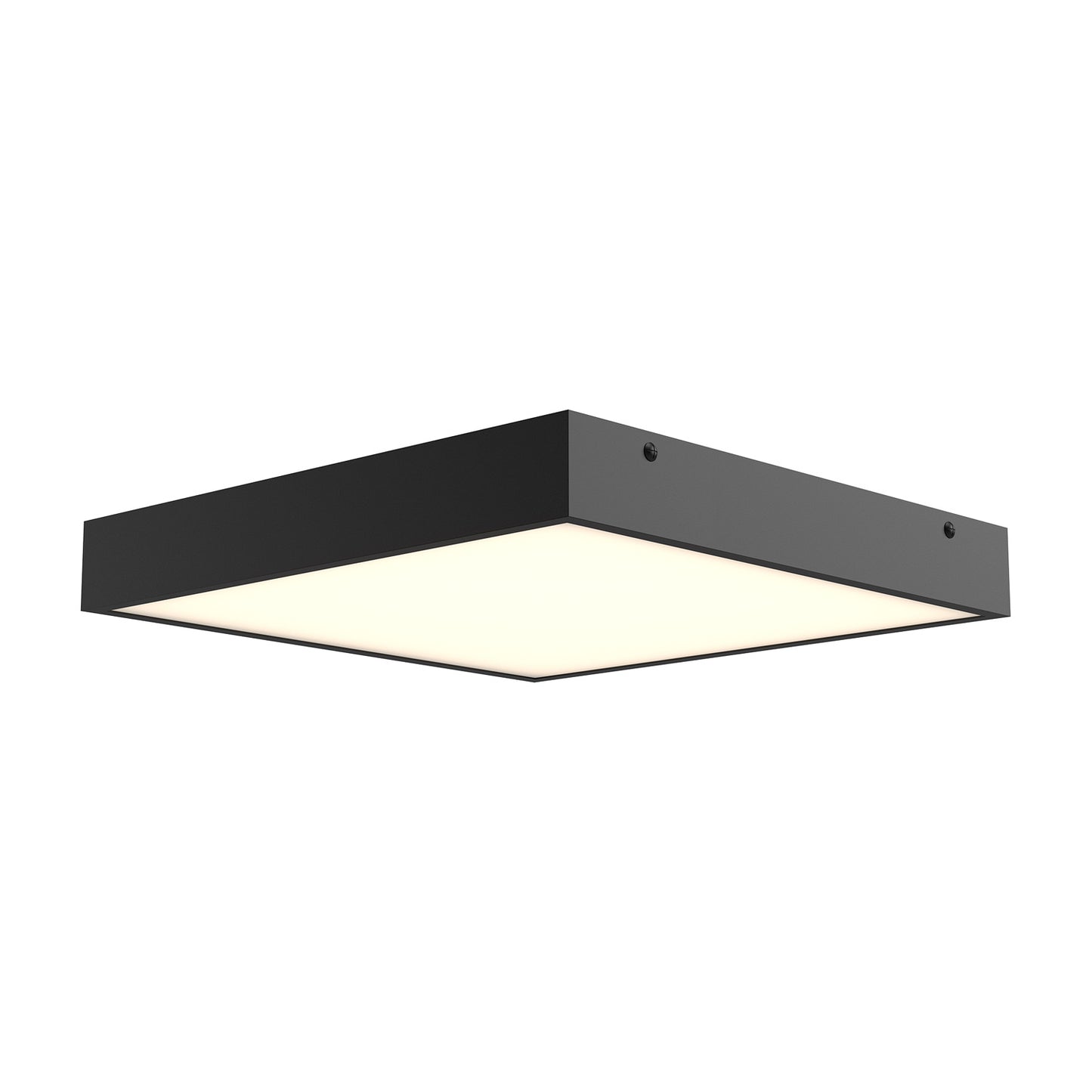 Sydney Wall / Ceiling Light