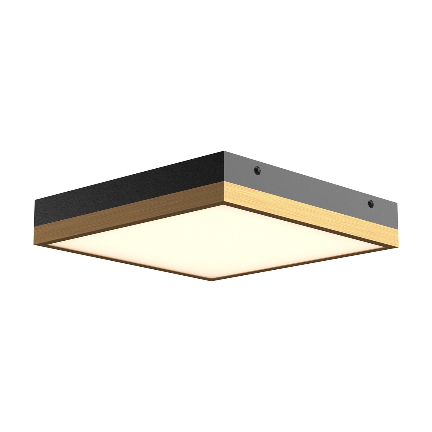 Sydney Wall / Ceiling Light