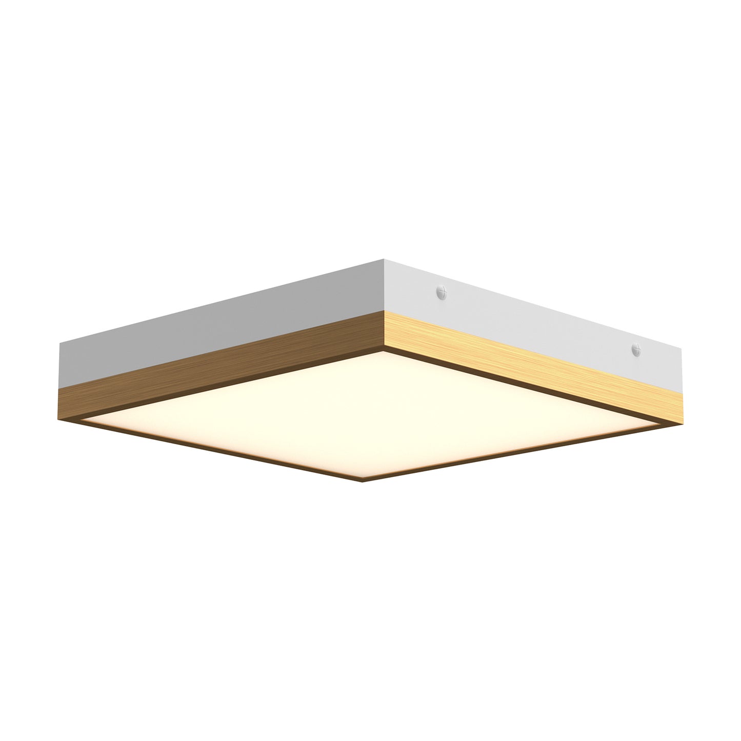 Sydney Wall / Ceiling Light