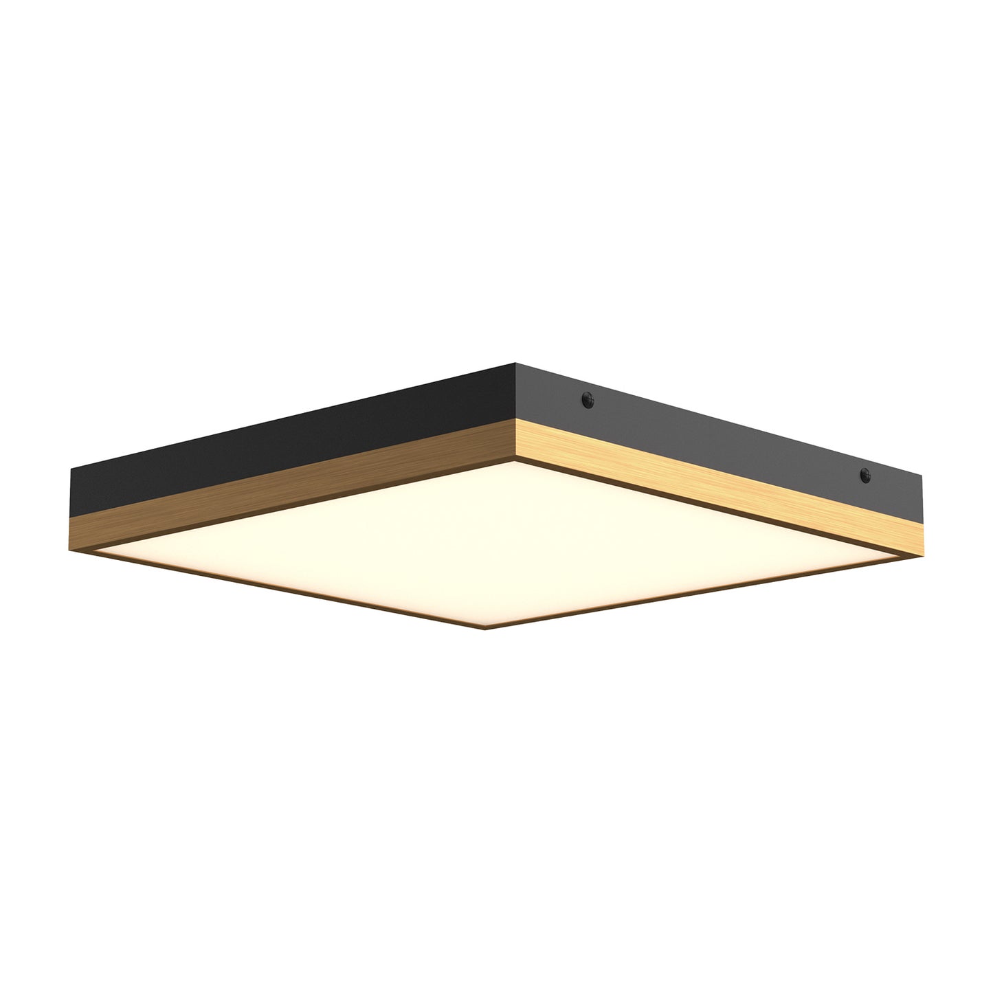 Sydney Wall / Ceiling Light