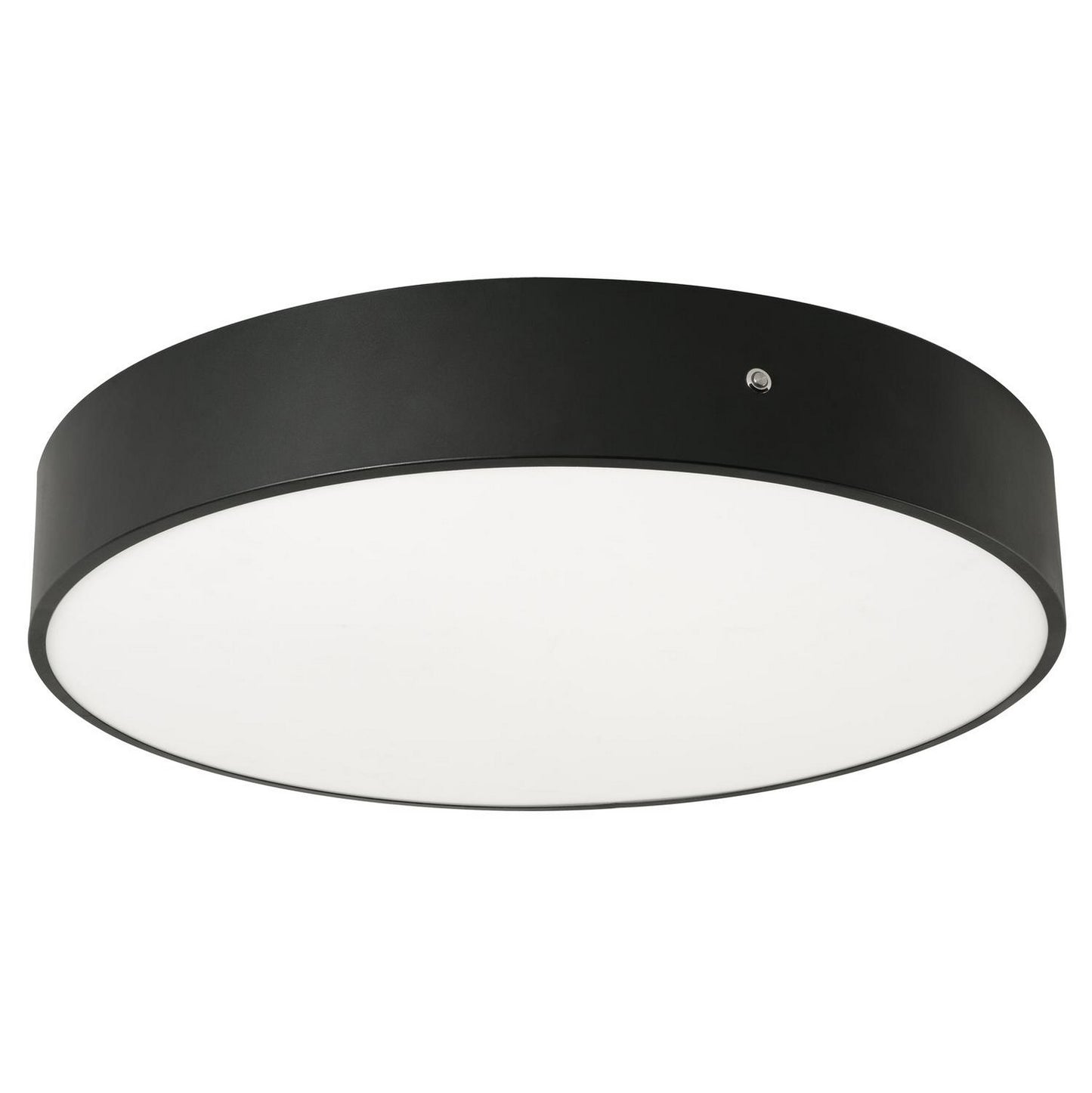 Bailey Ceiling Light