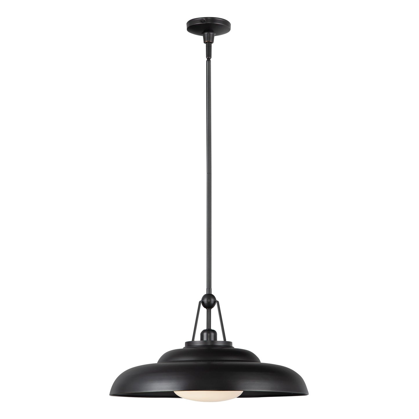 Palmetto One Light Pendant