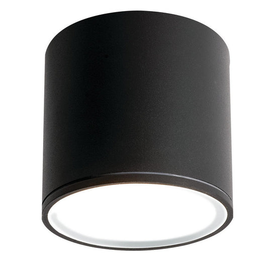 Everly Outdoor Color-Select Ceiling Light