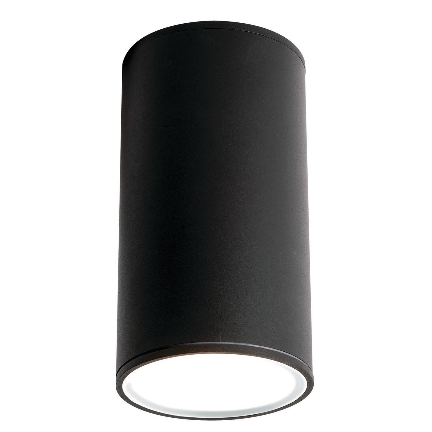 Everly Outdoor Color-Select Ceiling Light