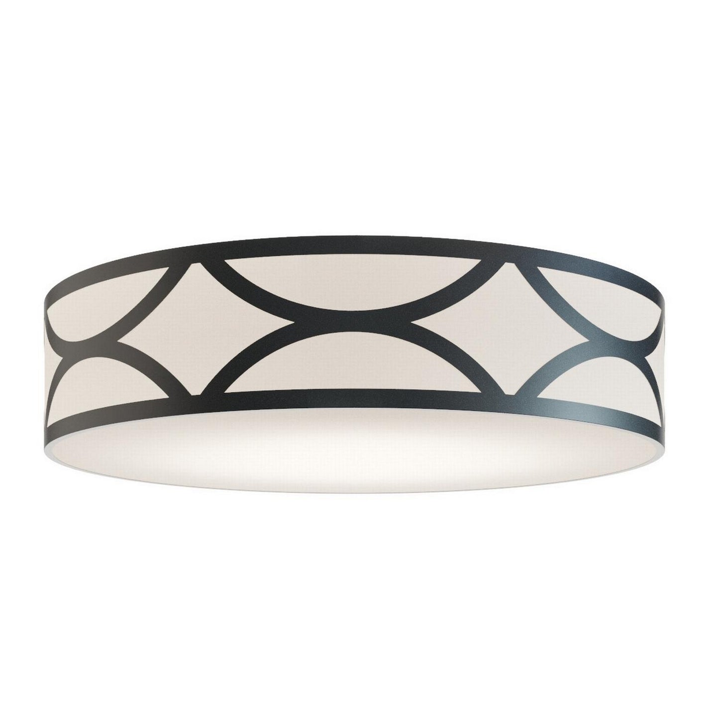 Lake Ceiling Light