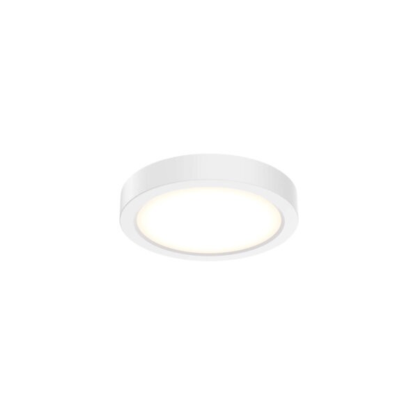 Delta Flush Mount Ceiling Light