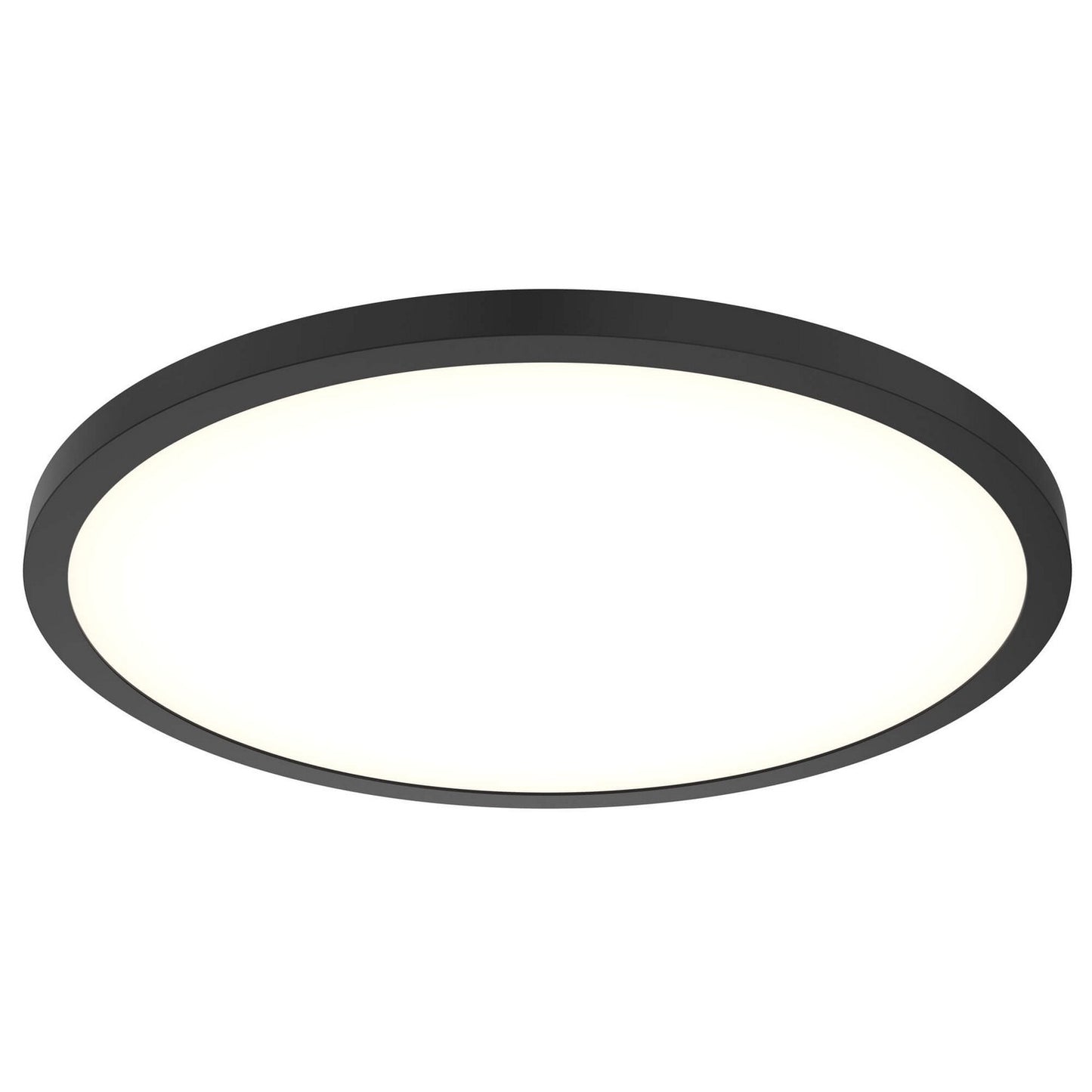 Delta Color Select Round Outdoor Wall / Ceiling Light