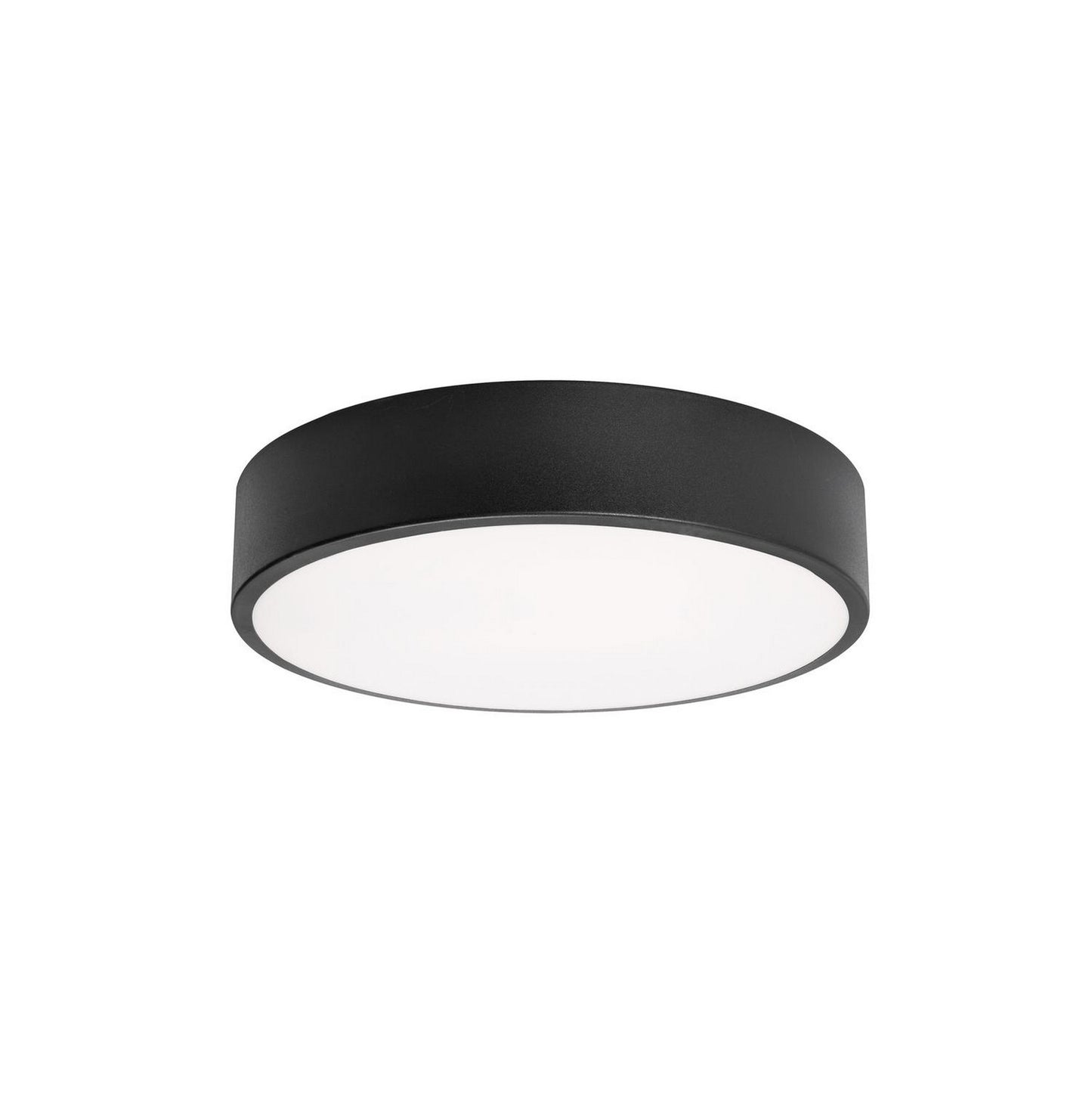 Bailey Ceiling Light