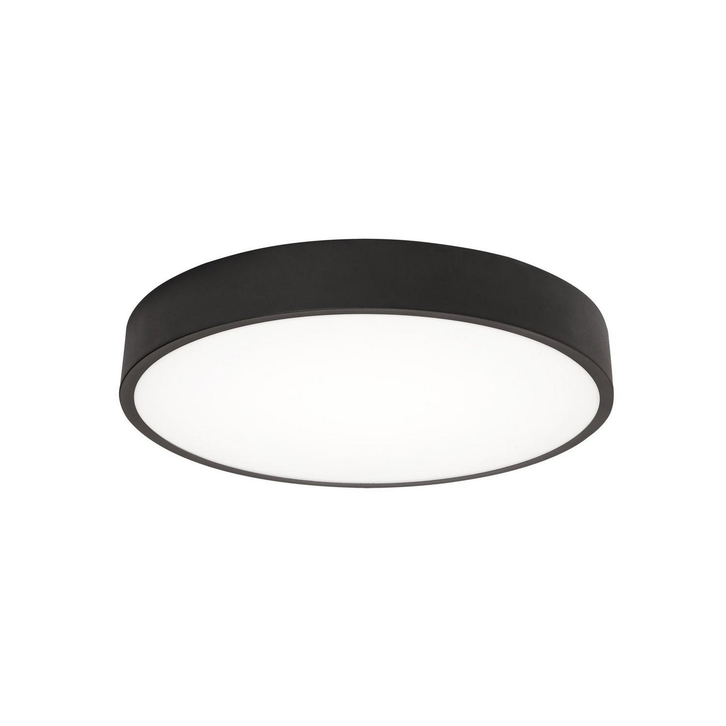 Bailey Ceiling Light