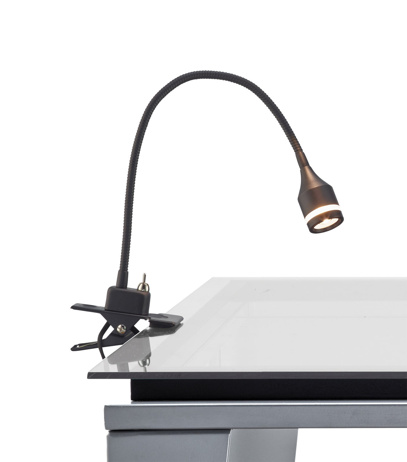 Prospect LED Clip Lamp