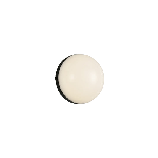 Globo Wall Sconce / Ceiling Flush Light