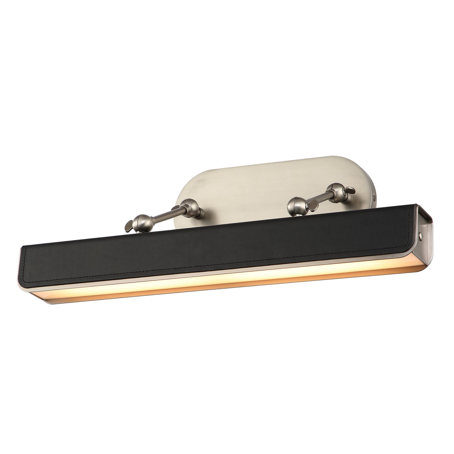 Valise Picture Light