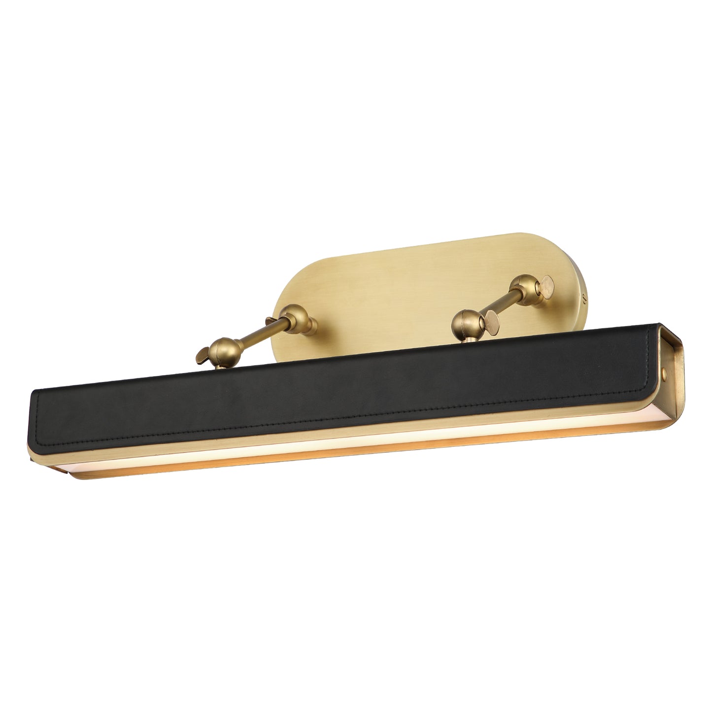 Valise Picture Light