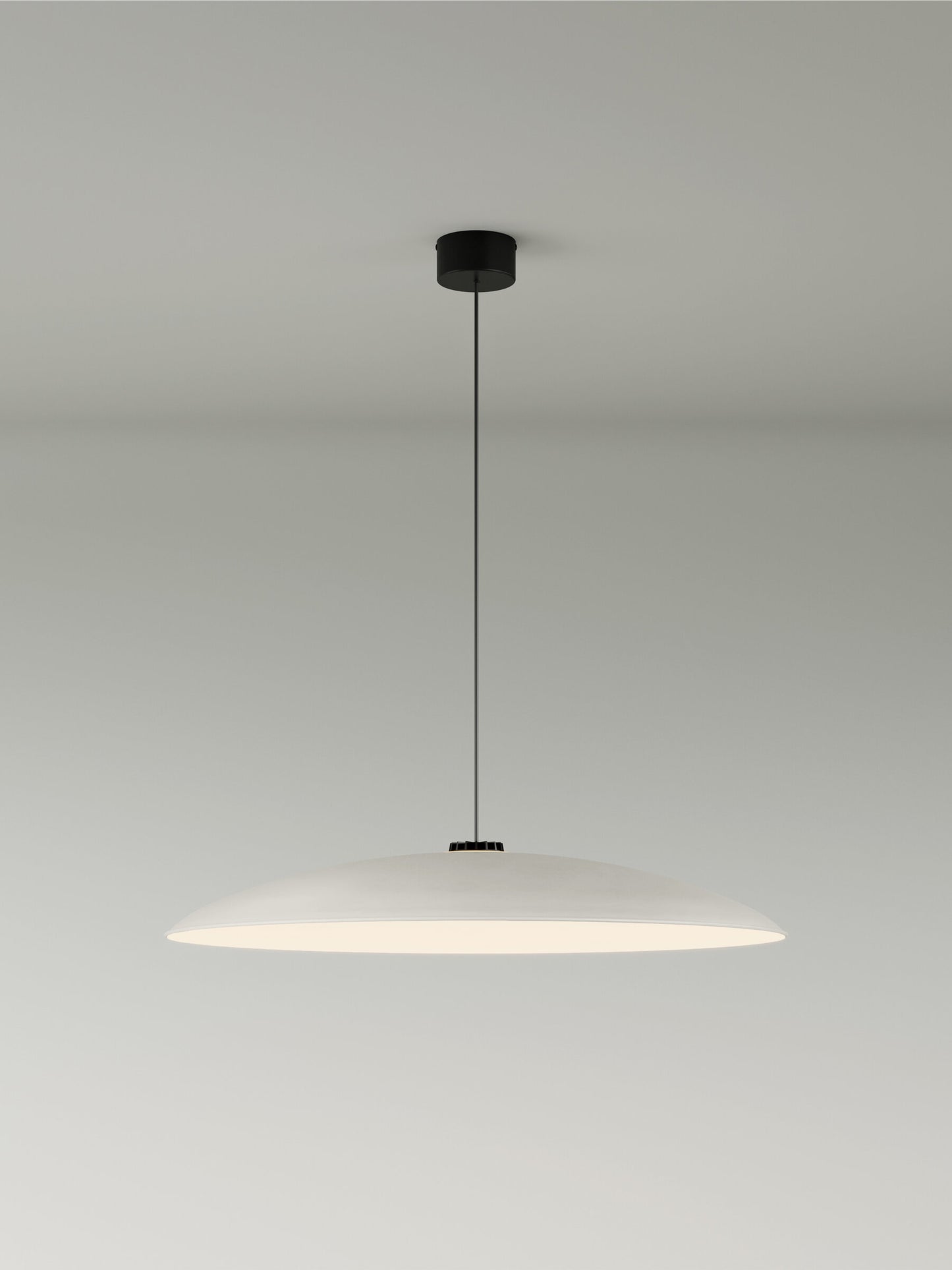 HeadHat Plate L Pendant lamps