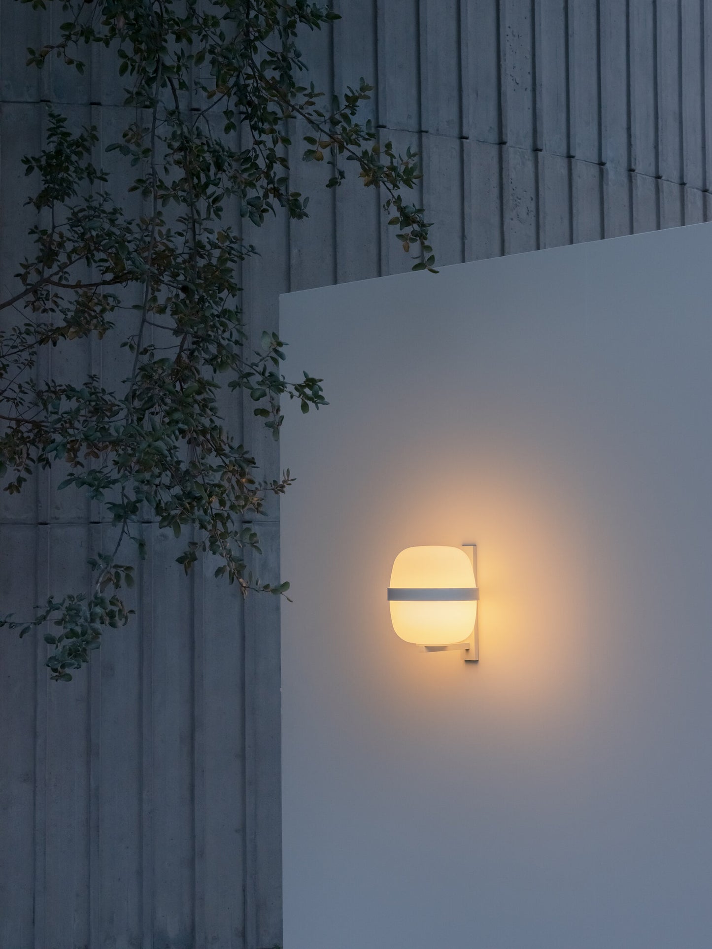 Wally Cesta Wall lamps