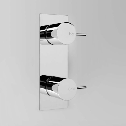 Astra Walker Icon Wall Tap Set on Backplate Offset - a69.49.obp
